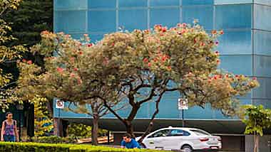 Universidade Federal de Minas Gerais (UFMG) na Região Oeste de Belo Horizonte.